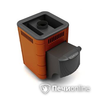 Дровяная банная печь TMF Оса Carbon терракота дверь антрацит в Липецке