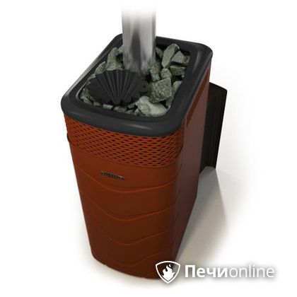 Дровяная банная печь TMF Гейзер XXL 2017 Inox Витра закрытая каменка терракота в Липецке